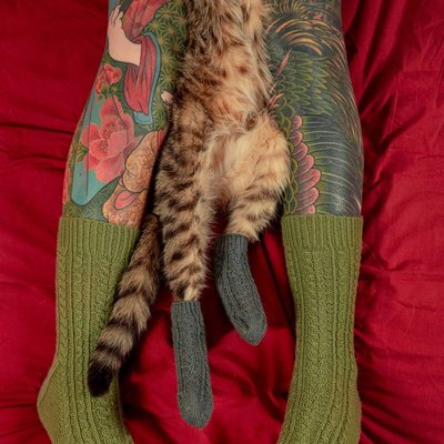 Котики и вязание